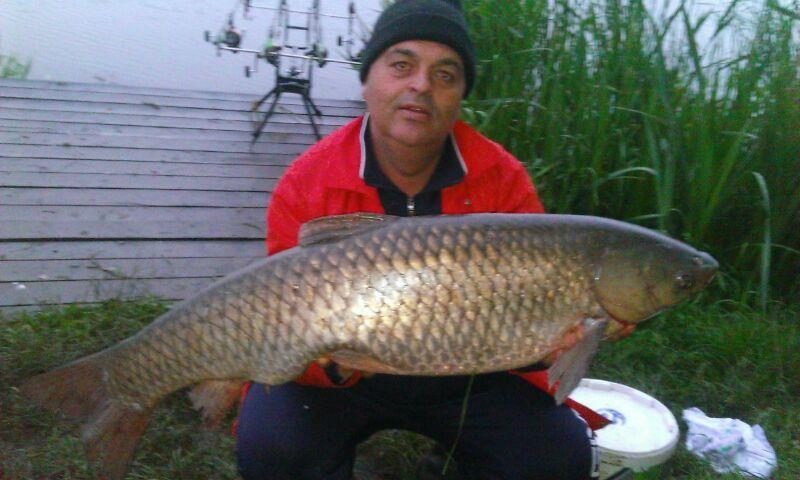 2014 Balta Lazar Alexandria - img-20140505-wa0013.jpg